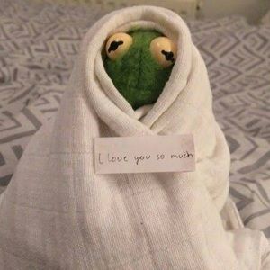 Meet your Posher, Carly